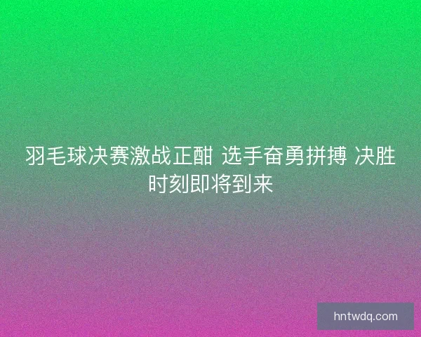 羽毛球决赛激战正酣 选手奋勇拼搏 决胜时刻即将到来